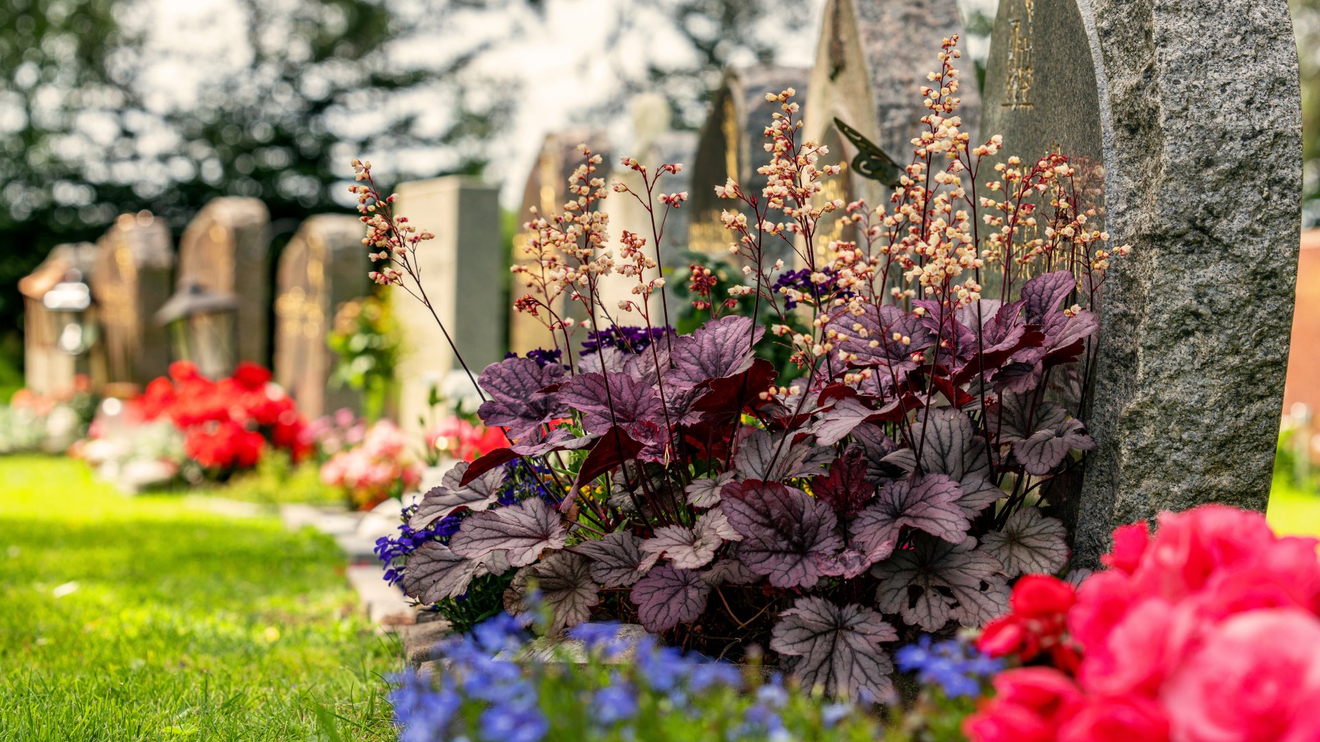 Grave Plants
